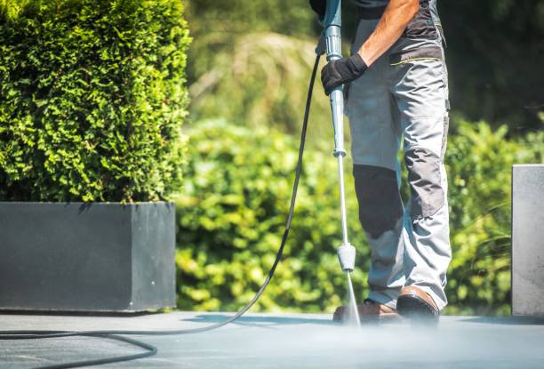 Best Fence Cleaning  in Freeland, PA