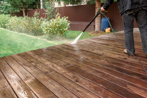 Best Rust Removal  in Freeland, PA