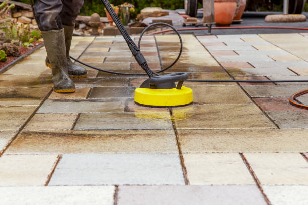 Best Gutter Cleaning  in Freeland, PA
